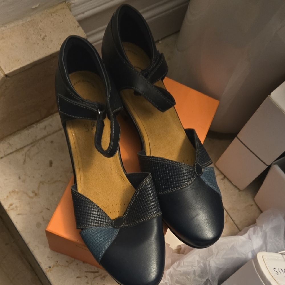 Elegant Navy Women's Shoes